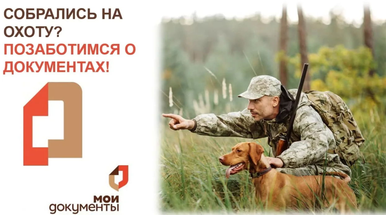 Открыт сезон охоты на пернатую дичь!            Получите разрешение на добычу в МФЦ.